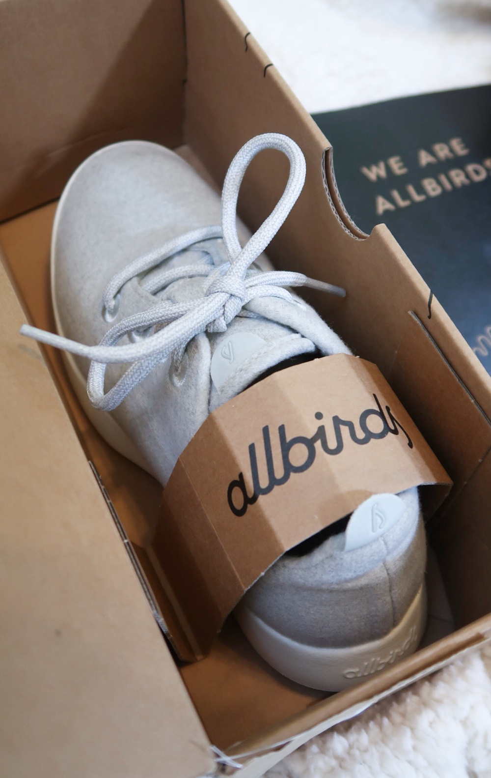 allbirds kotare birch