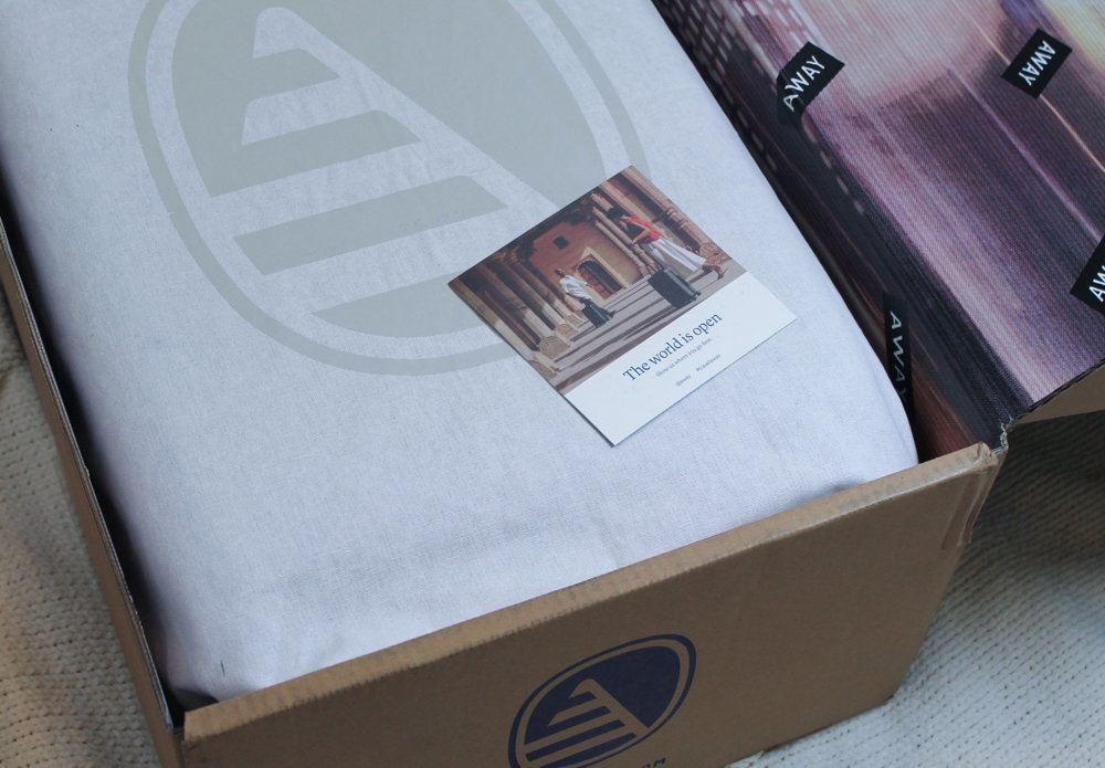 british airways baggage cardboard box